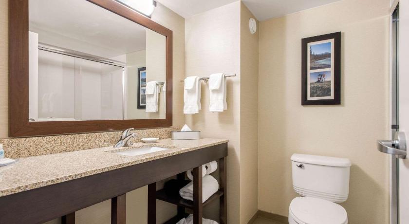 Comfort Inn and Suites Red Deer