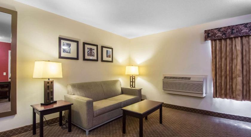 Comfort Inn and Suites Airport South