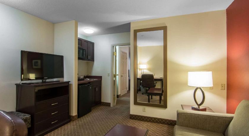 Comfort Inn and Suites Airport South