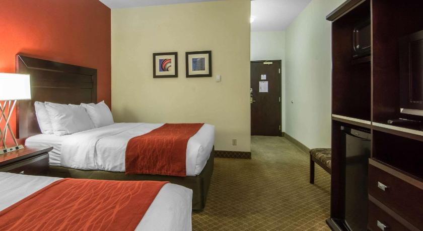 Comfort Inn and Suites Airport South