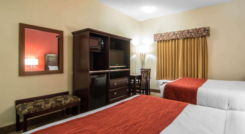 Comfort Inn and Suites Airport South