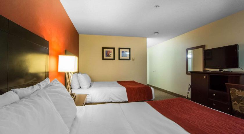 Comfort Inn and Suites Airport South