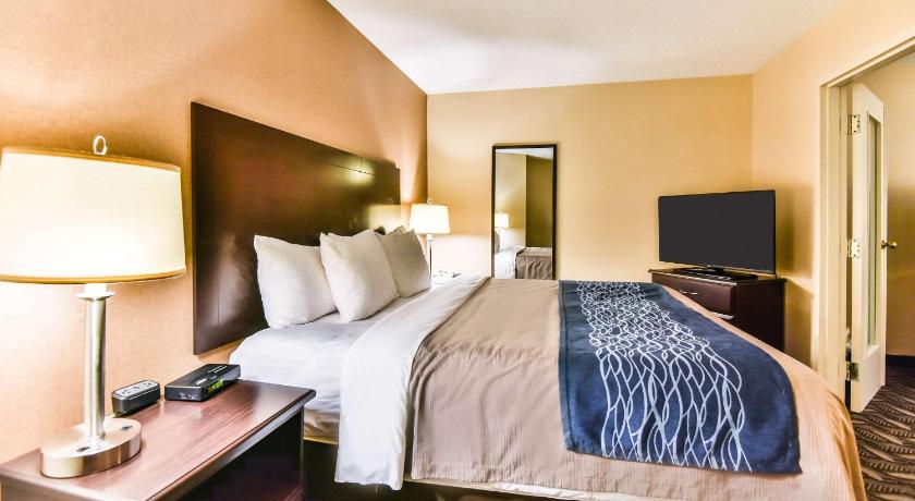 Comfort Inn and Suites Ambassador Bridge Windsor