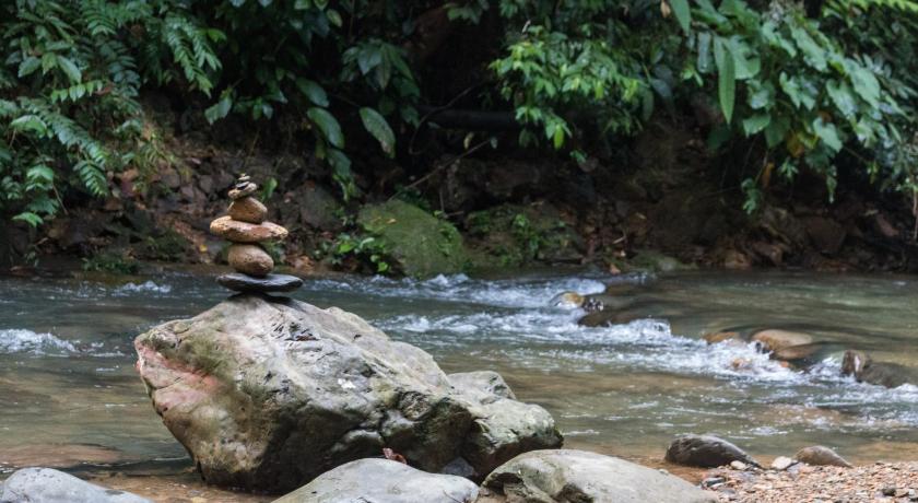Rain Forest Guest House — Hotel in Bukit Lawang
