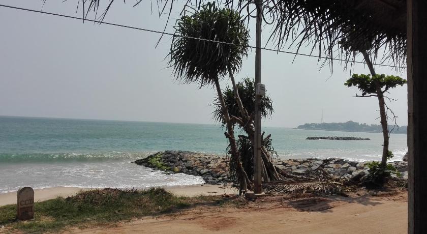 Sunchaser Beach Hotel photo