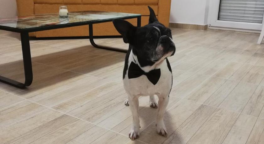 貝爾格勒 Airport view Apartment 3星级 民宿 景观