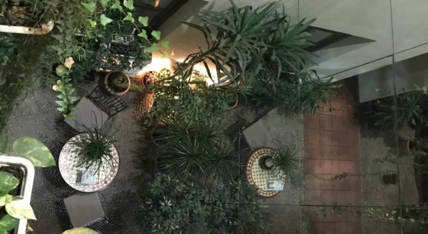 セビリア Hostal Puerta Carmona 2つ星 ホテル プール