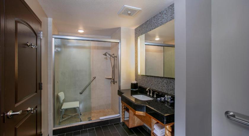 Image of Lake View, Mobility Accessible Room, Roll-In Shower, 1 King Bed 2