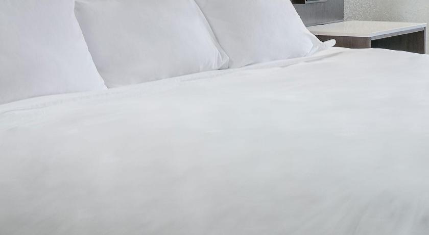 1-Bedroom King Whirlpool Suite with Fireplace & Sofabed - Non-Smoking fotója 1