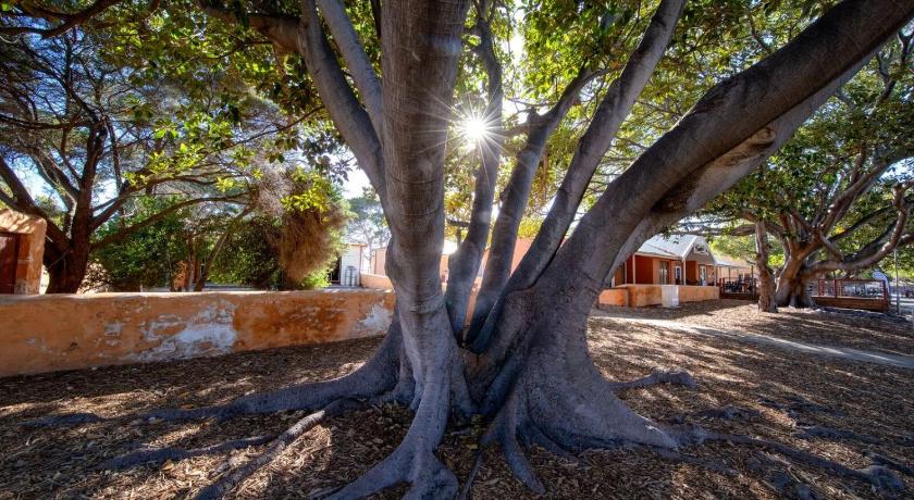 Discovery Rottnest Island