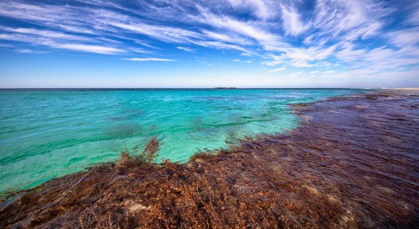 Discovery Rottnest Island