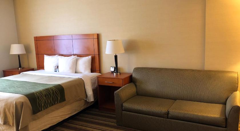 Comfort Inn Metro Airport Romulus