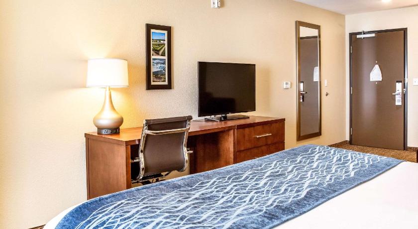 Comfort Inn & Suites Niagara Falls Blvd USA