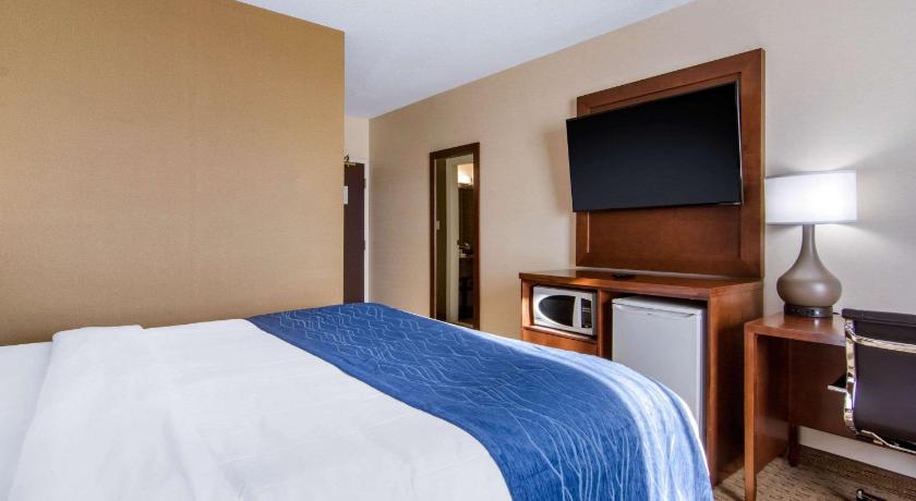 Comfort Inn and Suites Medicine Hat