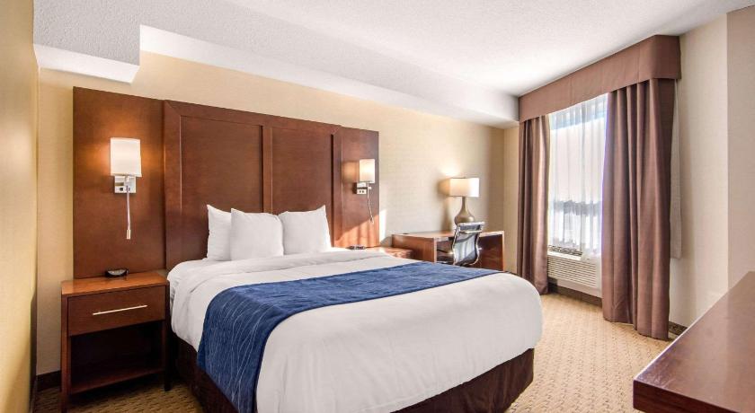 Comfort Inn and Suites Medicine Hat