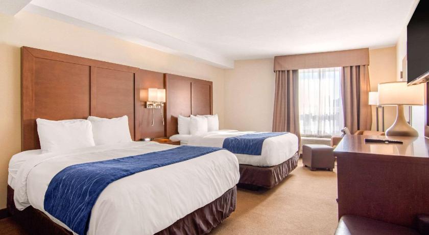 Comfort Inn and Suites Medicine Hat