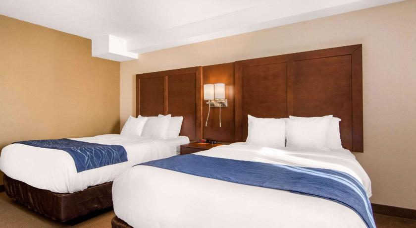 Comfort Inn and Suites Medicine Hat