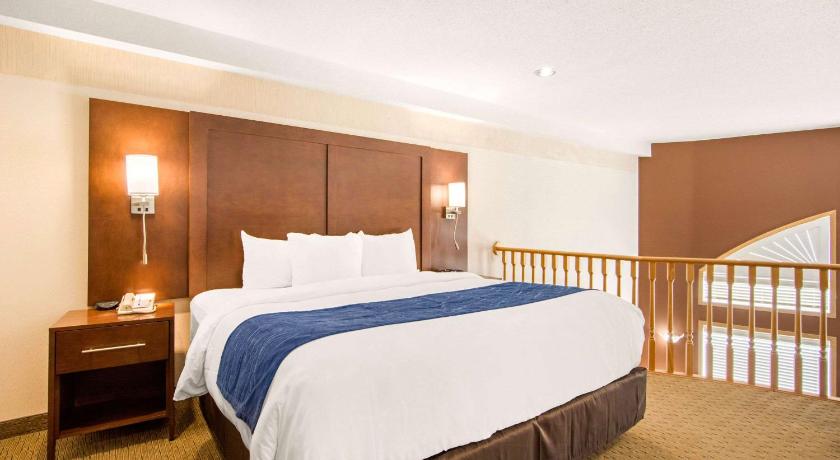 Comfort Inn and Suites Medicine Hat