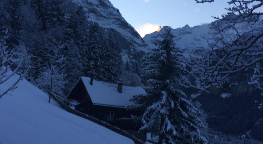 Chalet Grunegg photo