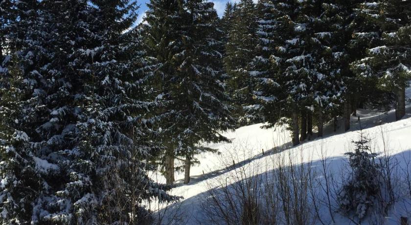 Chalet Grunegg photo