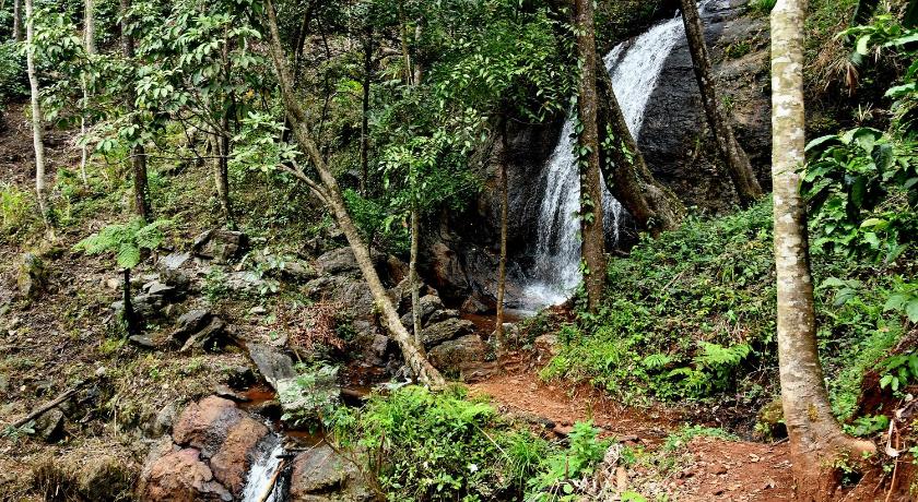 Karadikallu Homestay - Private Waterfalls & Guided Trek photo