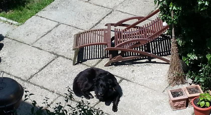 a black dog and a black cat sitting on a bench, A Due Passi Dal Centro Bed and Breakfast in Pisa