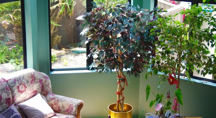 Hamilton East Homestay photo