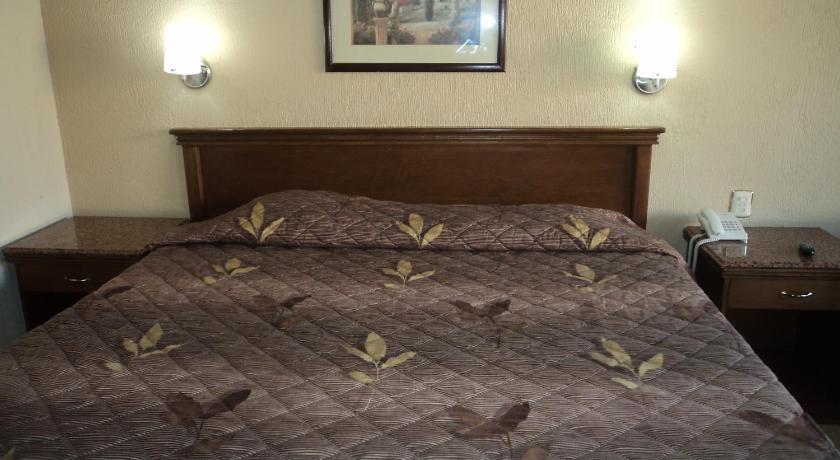 Hotel San Martin photo