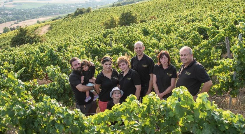 Weinschloßchen im Weingut Roos photo