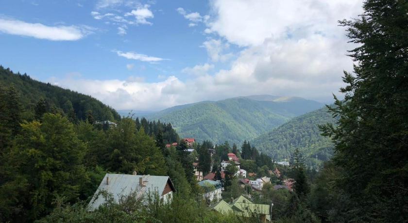Vila Sinaia Private photo