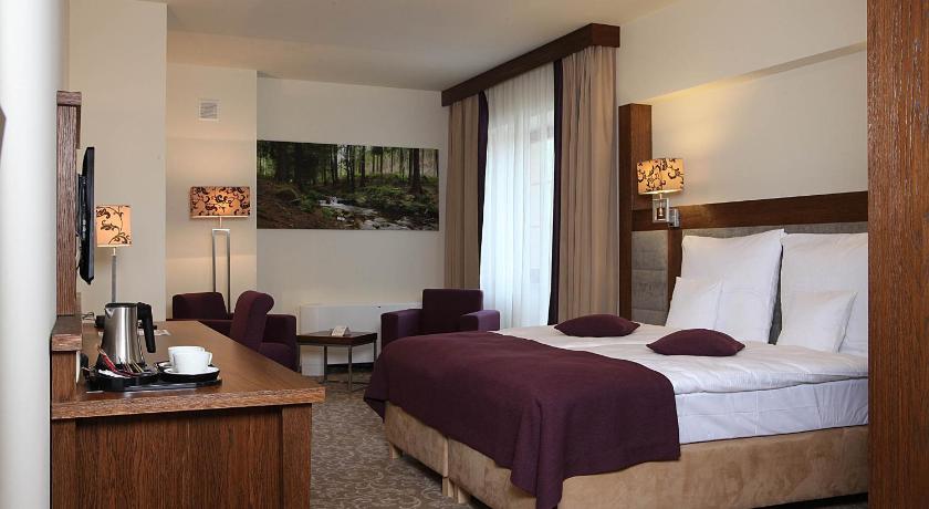 Hotel Mercure Krynica Zdroj Resort&Spa photo