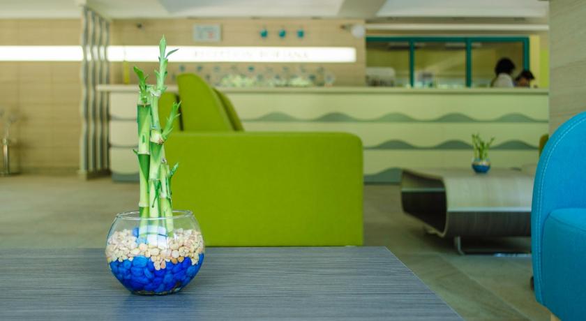 Hotel Boryana photo