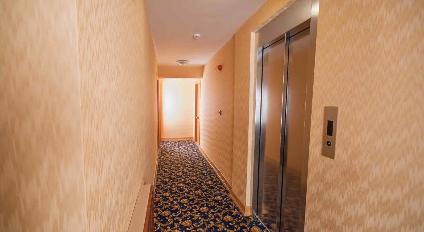 Timeks Hotel Sultanahmet - image 4
