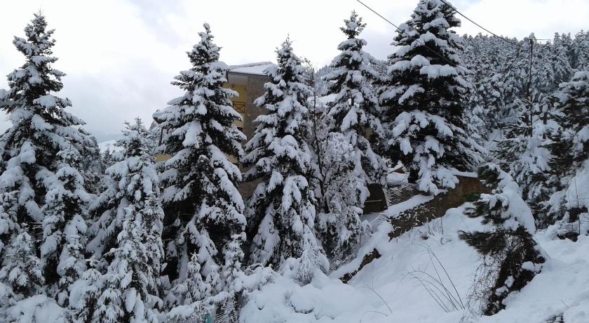 Elatos cozy Studio — Hotel in Trikala