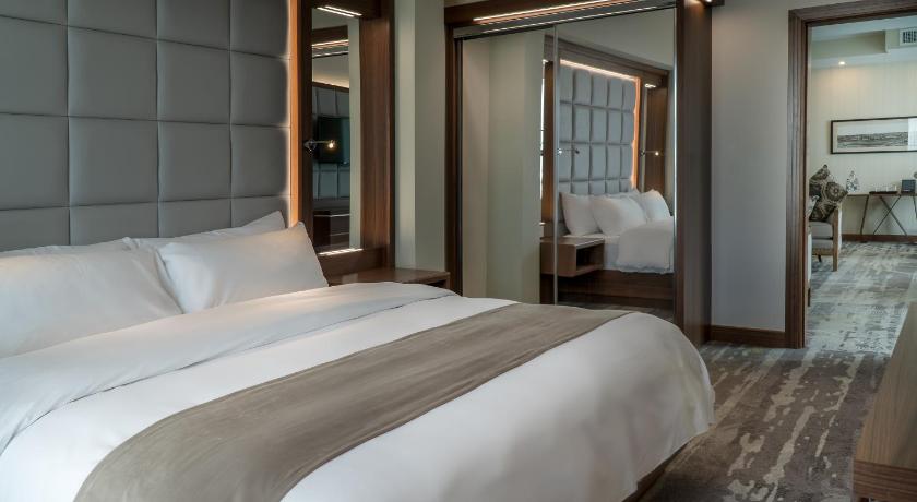 صورة جناح تنفيذي غرفة وصالة (Executive Suite) 3