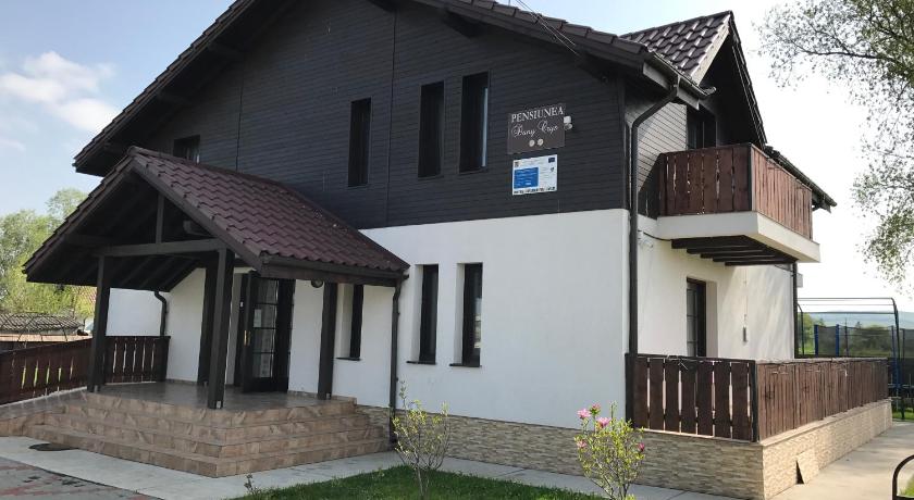 Pensiunea Dany - Crys — Hotel in Suceava