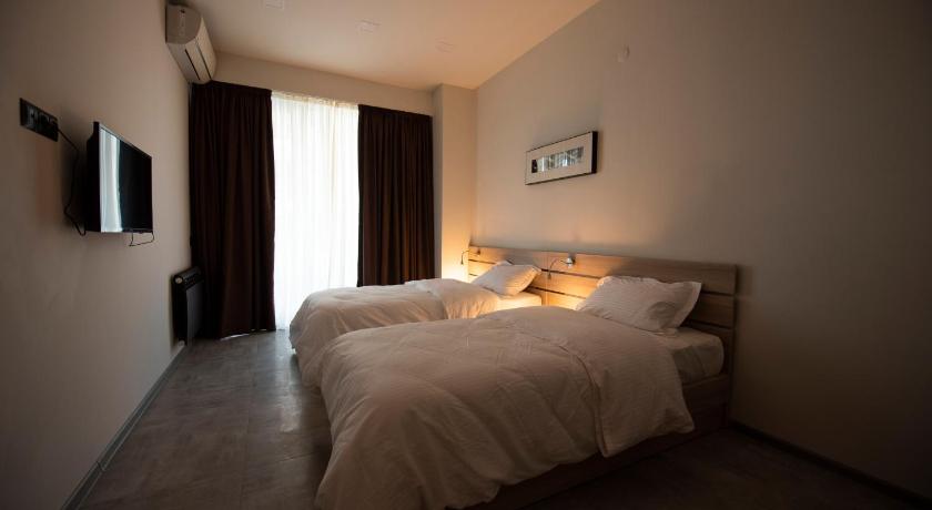 krtsanisi twins luxury apartment photo