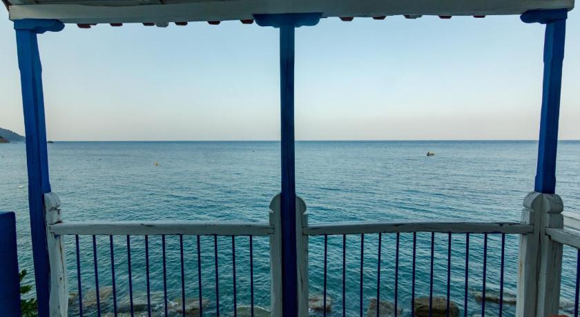 Petalides Up photo