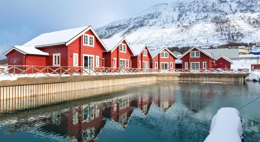 XLyngen photo