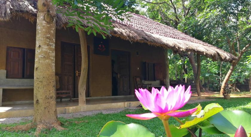 Ama Villa photo