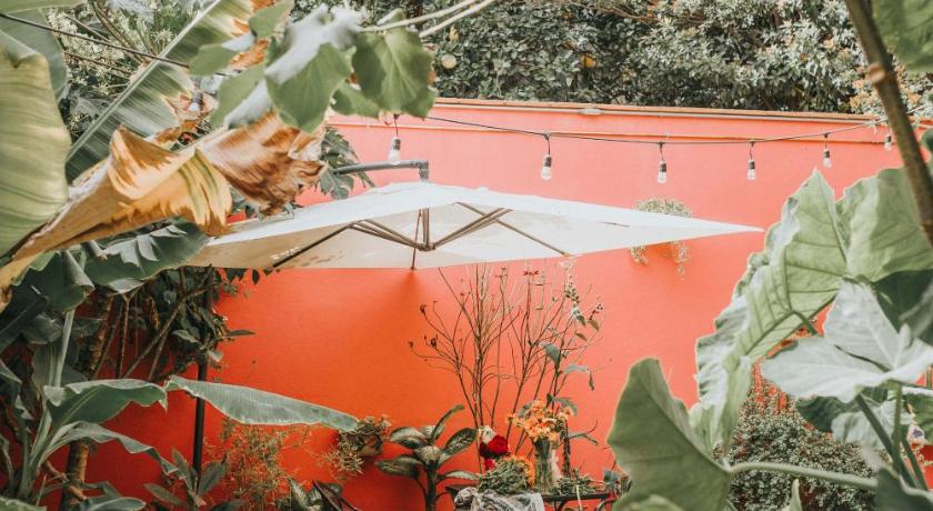 瓦哈卡 Azul Cielo Hostel 2星级 酒店 大堂