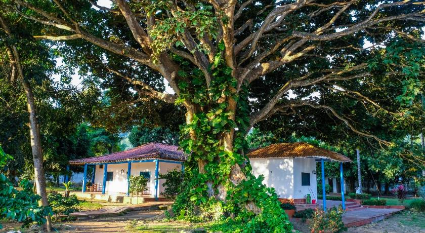 Finca del Rio Palomino — Hotel in Palomino
