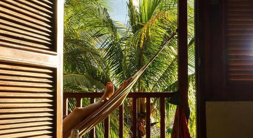 Surfing Turtle Lodge photo