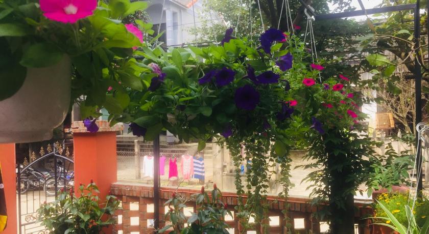 New Destination Hoi An Homestay - image 4