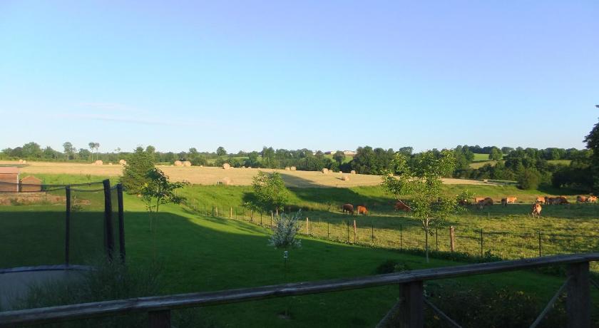 沙吕塞（利摩日） La THIBAUDIERE Glycine 3星级 酒店 大堂