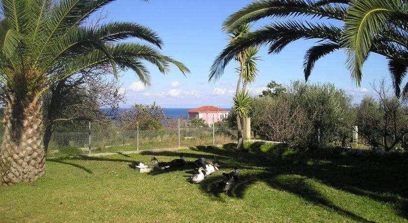 Nikolaos Studios Skala photo
