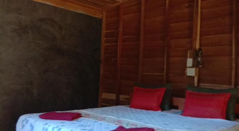 Image of Standard Double Room with Fan 14