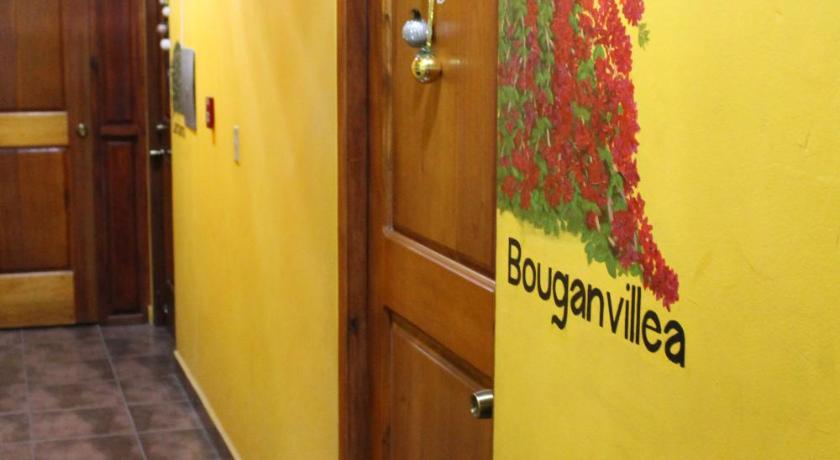 Boquete Town Hostal photo