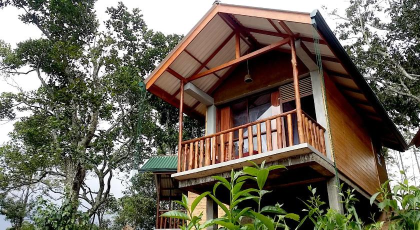 Saffron Eco Cottage photo