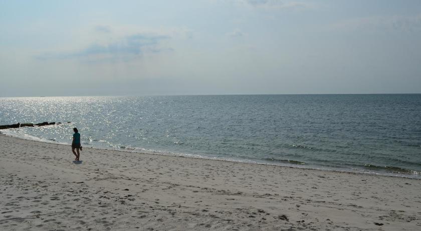 Cape Shore Inn photo